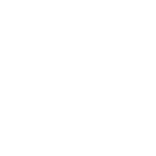 Flutter Icon