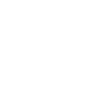 Swift Icon